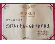 2017年度费县百名创业创新模范